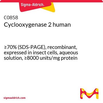 环氧化酶 2 人 &#8805;70% (SDS-PAGE), recombinant, expressed in insect cells, aqueous solution, &#8805;8000&#160;units/mg protein