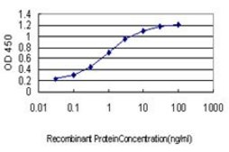 Monoclonal Anti-ROBO1 antibody produced in mouse clone 2G6, purified immunoglobulin, buffered aqueous solution