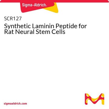 Synthetic Laminin Peptide for Rat Neural Stem Cells