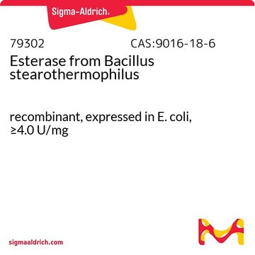 Esterase from Bacillus stearothermophilus recombinant, expressed in E. coli, &#8805;4.0&#160;U/mg