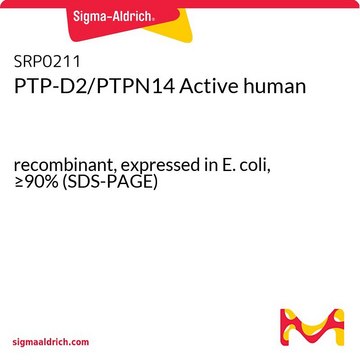 PTP-D2/PTPN14 Active human recombinant, expressed in E. coli, &#8805;90% (SDS-PAGE)