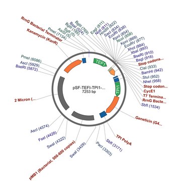 PSF-TEFI-TPI1-NEO/G418 - G418 酵母选择质粒 plasmid vector for molecular cloning