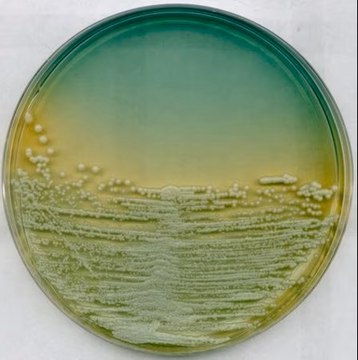 WL Nutrient Medium, modified suitable for microbiological culture, for yeasts, for bacteria