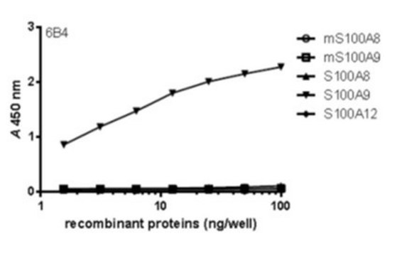 Anti-S100A9 Antibody, clone 6B4 clone 6B4, from mouse