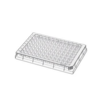 Eppendorf&#174; Microplate 96/V-PP, 96 wells white polypropylene, conical bottom clear wells, PCR clean, pkg of 80&#160;ea