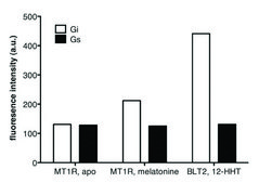 MT1 (Melatonin Receptor 1)