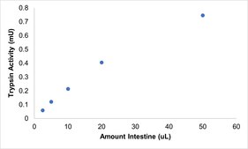 Trypsin Activity Assay Kit sufficient for 100 colorimetric&nbsp;tests