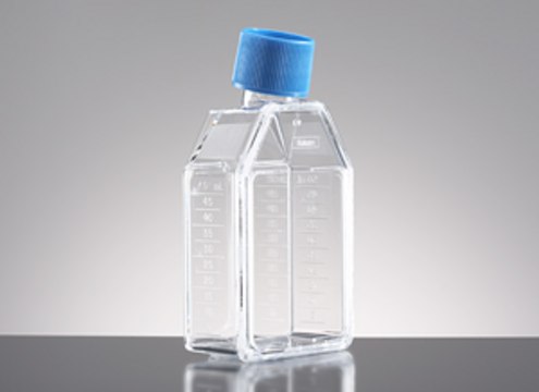 Corning&#174; BioCoat&#8482; Collagen I Cell Culture Flask capacity 175&#160;cm2, rectangular flask, Straight neck, vented, Cap