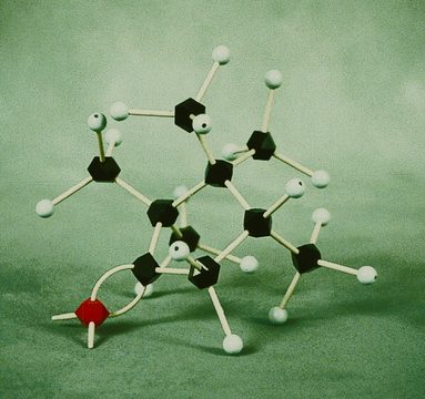 HGS Polyhedron molecular model student set, fundamental organic chemistry