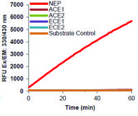 Neprilysin Activity Assay Kit (Fluorometric) sufficient for 100 fluorometric&nbsp;tests