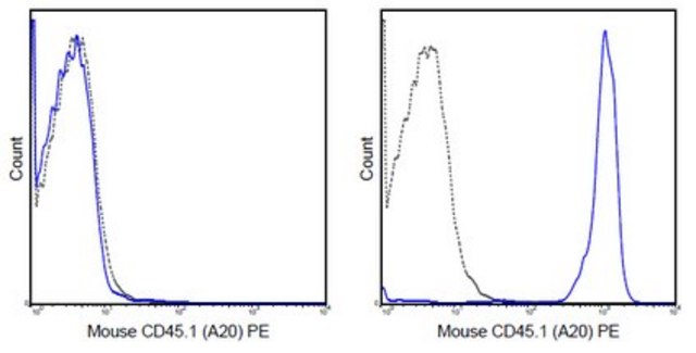Anti-CD45.1 Antibody (mouse), PE, clone A20 clone A20, 0.2 mg/mL, from mouse