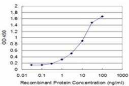 Monoclonal Anti-FHL1 antibody produced in mouse clone 2F7, purified immunoglobulin, buffered aqueous solution