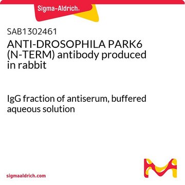 ANTI-DROSOPHILA PARK6 (N-TERM) antibody produced in rabbit IgG fraction of antiserum, buffered aqueous solution