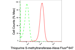 Anti Thiopurine S-Methyltransferase Antibody, clone 24GB1895, Rabbit Monoclonal clone 24GB1895, recombinant rabbit monoclonal, expressed in HEK293 cells