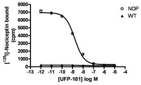 ChemiSCREEN Membrane Preparation Recombinant Human NOP Opioid Receptor Human NOP / ORL1 / OP4 GPCR membrane preparation for Radioligand binding Assays &amp; GTPγS binding.