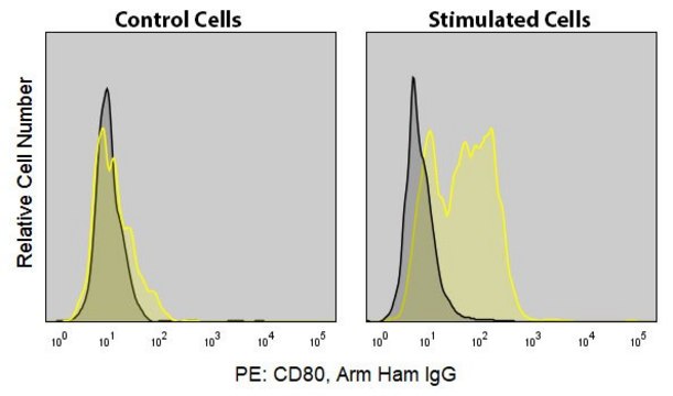 Anti-Mouse CD80 (16-10A1) ColorWheel&#174; Dye-Ready mAb for use with ColorWheel&#174; Dyes (Required, sold separately)