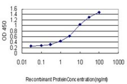 Monoclonal Anti-AEBP1 antibody produced in mouse clone 1D2, purified immunoglobulin, buffered aqueous solution