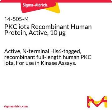 PKC iota Recombinant Human Protein, Active, 10 &#181;g Active, N-terminal His6-tagged, recombinant full-length human PKC iota. For use in Kinase Assays.