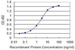 Monoclonal Anti-ENAM antibody produced in mouse clone 2C12, purified immunoglobulin, buffered aqueous solution