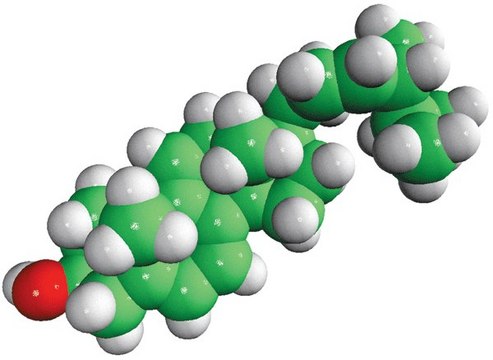 脱氢麦角甾醇（DHE） ergosta-5,7,9(11),22-tetraen-3&#946;-ol, powder