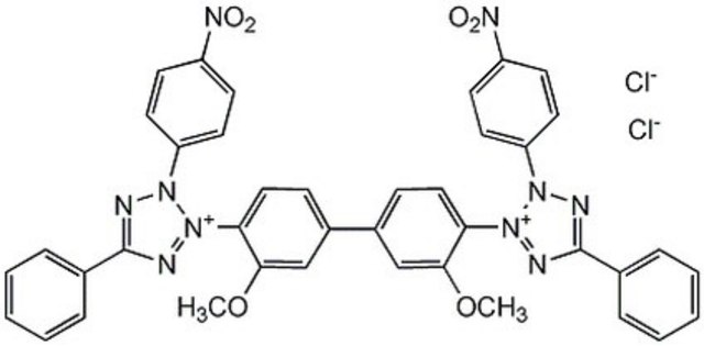 p-Nitroblue Tetrazolium Chloride NADPH-diaphorase substrate that competitively inhibits nitric oxide synthase (IC&#8325;&#8320; = 3-4 &#181;M).