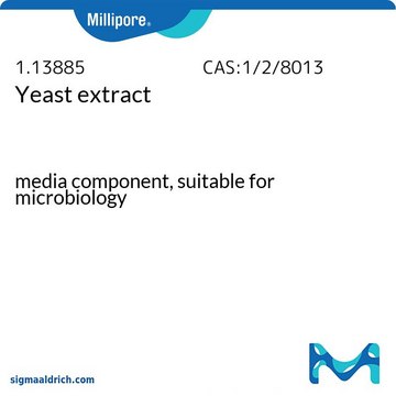 Yeast extract media component, suitable for microbiology