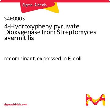 4-Hydroxyphenylpyruvate Dioxygenase from Streptomyces avermitilis recombinant, expressed in E. coli