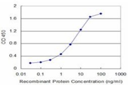 Monoclonal Anti-SLC1A2 antibody produced in mouse clone 1D8, purified immunoglobulin, buffered aqueous solution