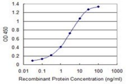 Monoclonal Anti-ZDHHC13 antibody produced in mouse clone 2A4, purified immunoglobulin, buffered aqueous solution