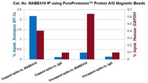 Anti-m3G-cap, m7G-cap Antibody, clone H-20 clone H-20, from mouse