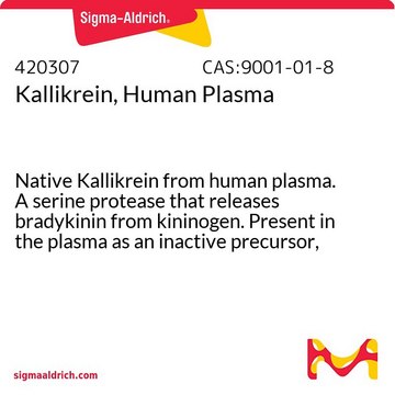 Kallikrein, Human Plasma Native Kallikrein from human plasma. A serine protease that releases bradykinin from kininogen. Present in the plasma as an inactive precursor, prokallikrein.