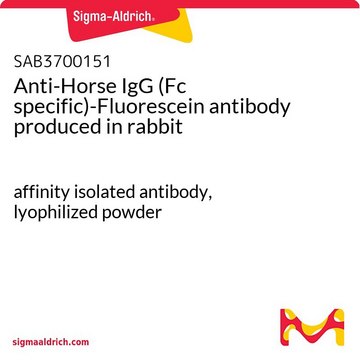 Anti-Horse IgG (Fc specific)-Fluorescein antibody produced in rabbit affinity isolated antibody, lyophilized powder