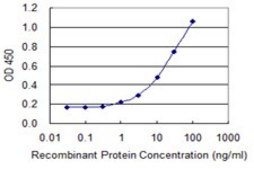Monoclonal Anti-PAGE1 antibody produced in mouse clone 6G6, purified immunoglobulin, buffered aqueous solution