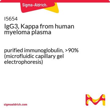 IgG3，&#954; 来源于人类骨髓瘤血浆 purified immunoglobulin, &gt;90% (microfluidic capillary gel electrophoresis)