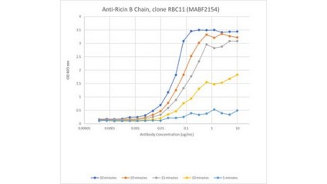 Anti-Ricin B Chain Antibody, clone RBC11 clone RBC11, from mouse