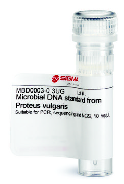 Microbial DNA standard from Proteus vulgaris Suitable for PCR, sequencing and NGS