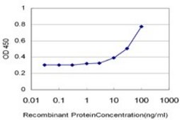 Monoclonal Anti-RFC3 antibody produced in mouse clone 1C6, purified immunoglobulin, buffered aqueous solution