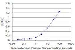 Monoclonal Anti-PNMA2 antibody produced in mouse clone 2D4, purified immunoglobulin, buffered aqueous solution