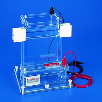 Vertical electrophoresis unit, fixed height, single gel gel W × H 16.5&#160;cm × 22&#160;cm