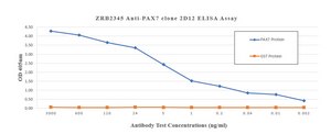 Anti-PAX7 Antibody, clone 2D12 ZooMAb® Rabbit Monoclonal recombinant, expressed in HEK 293 cells