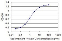 Monoclonal Anti-MACF1, (N-terminal) antibody produced in mouse clone 1G9, purified immunoglobulin, buffered aqueous solution