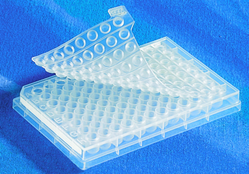 Corning&#174; 96孔聚丙烯深孔板 V-bottom clear, polypropylene, bag of 5 ×, non-sterile, lid: no