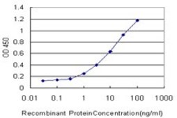 Monoclonal Anti-PCDHB12 antibody produced in mouse clone 1D11, purified immunoglobulin, buffered aqueous solution