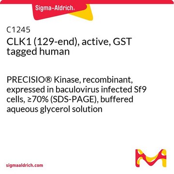 CLK1 (129-end), active, GST tagged human PRECISIO&#174; Kinase, recombinant, expressed in baculovirus infected Sf9 cells, &#8805;70% (SDS-PAGE), buffered aqueous glycerol solution