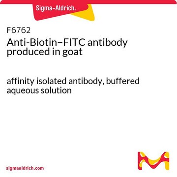 Anti-Biotin&#8722;FITC antibody produced in goat affinity isolated antibody, buffered aqueous solution