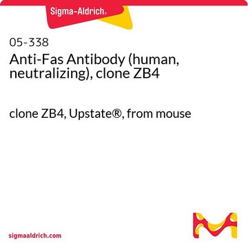 Anti-Fas Antibody (human, neutralizing), clone ZB4 clone ZB4, Upstate&#174;, from mouse