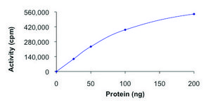 MET (M1250T), active, GST tagged human PRECISIO®, recombinant, expressed in baculovirus infected Sf9 cells, ≥70% (SDS-PAGE), buffered aqueous glycerol solution