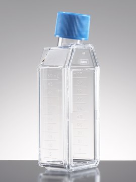 Corning&#174; Falcon&#174; Cell Culture Flask capacity 50&#160;mL, canted neck, graduated, 5 &#8209; 40&#160;mL, cap, blue plug seal