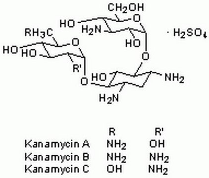 硫酸卡那霉素，来源于卡那链霉菌 An aminoglycoside antibiotic effective against Gram-positive and Gram-negative organisms.