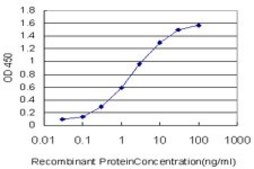 Monoclonal Anti-SCAP1, (N-terminal) antibody produced in mouse clone 1C11, purified immunoglobulin, buffered aqueous solution
